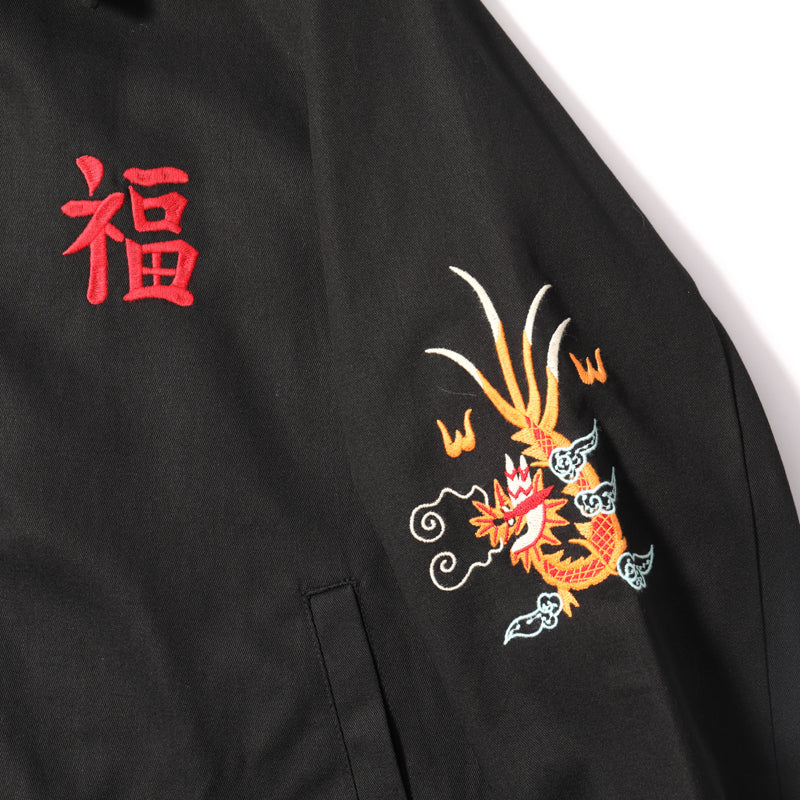 Houston Vietnam Tiger & Dragon Map Jacket