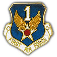 US Military Air Force 01st Shied Pin